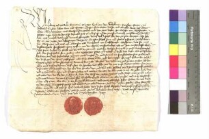 Ludwig und Wilhelm Grafen von Öttingen an Graf Kraft von Hohenlohe: Schuld gegenüber Erpf von Ahelfingen; Siegel: beide von Öttingen.