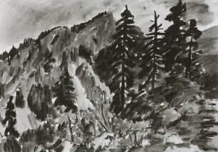 Felsmasiv in der poln. Tatra