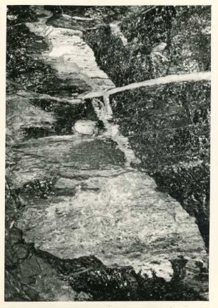 Dresden-Gittersee. Grubenfeld Gittersee. 2. Sohle. Schräger Anschnitt eines Kammes am Nord-Stoß des Abbaus am Aufhauen 6 [Grubenbau im aufsteigenden Flöz] nördlich der Strecke 401 Ost, etwa 4 m vom großen Kamm entfernt. 1. Flöz; oben rechts die Große Lette, unten die Fremde Lette