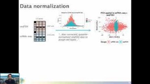 CORTEX seqFISH: integration with scRNA-seq data by self-training an elastic net classifier