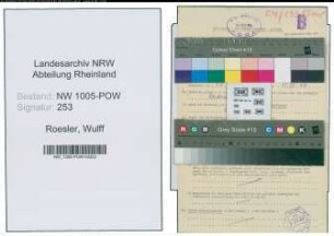 Entnazifizierung Wulff Roesler , geb. 05.12.1909 ()