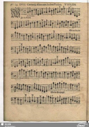 XVII. Wie ein Rubin in seinem Golde leuchtet