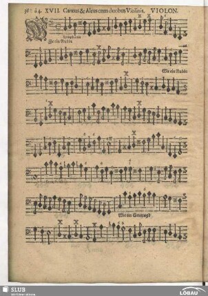 XVII. Wie ein Rubin in seinem Golde leuchtet