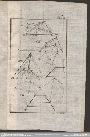 Tab. XV.