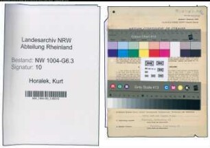 Entnazifizierung Kurt Horalek , geb. 07.03.1893 (Betriebsdirektor)