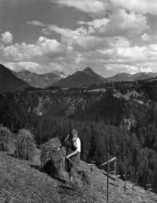 Erntebilder. Heuernte. Bäuerin beim Heuwenden