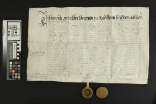 Kostheim: Heinrich Brömser, Freiherr v. und z.Rüdesheim, Amtmann zu Kostheim, bekundet, dass er der vor ihm erschienenen Maria Volpii, Witwe des K...