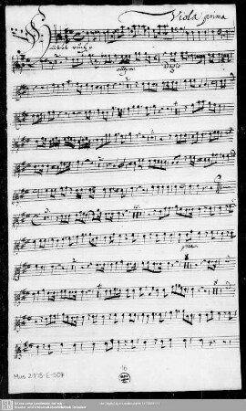 Viola prima.