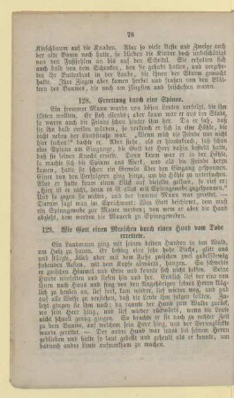 128. Errettung durch eine Spinne
