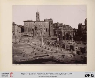 No. 1021. Roma. Basilica Julia