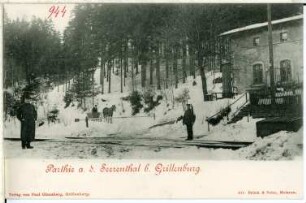 Grillenburg. Im Seerental im Winter mit Pferdeschlitten