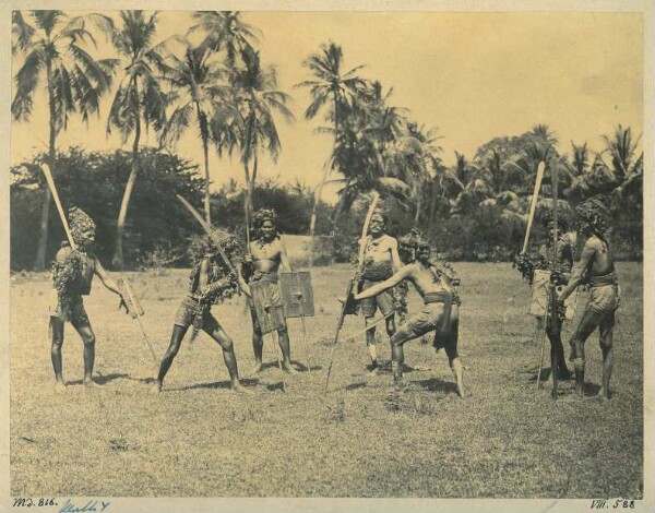 Fencing warriors of Jaipur