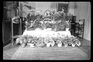 Verschiedene Blumengebinde und Topfpflanzen