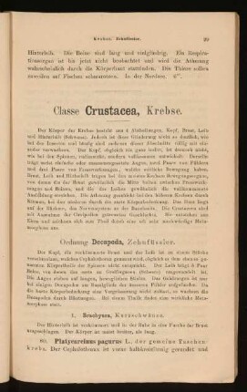 Classe Crustacea, Krebse