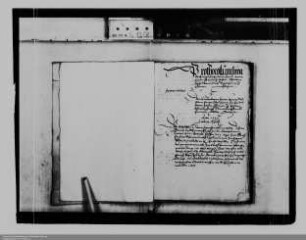 . Graf Ernst von Holstein-Schaumburg ./. Grafen Wilhelm, Otto, Jost und Erich von Holstein-Schaumburg: Nachlass des Grafen Johann von Holstein-Schaumburg: Band 2 (Protokoll)