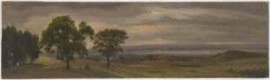 Abendliche Wiesenlandschaft