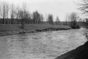 Ausgespültes Ufer : Blick auf das ausgespülte Ufer der Weißen Elster