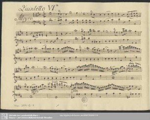 Quintetto VI.
