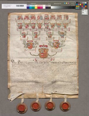 16er-Wappenahnentafel der Elisabeth Franziska Augusta Henrietta Ernestina Prinzessin zu Nassau-Hadamar. Bestätigt durch Carl Philipp Pfalzgraf zu Rhein, Theodor Pfalzgraf zu Rhein, Franz Ernst Graf zu Salm-Reifferscheid, Carl Ludwig Graf zu Manderscheid-Falkenstein. Mit den vier Unterschriften. Mit vier Siegeln in Holzkapseln (von vier) erhalten.