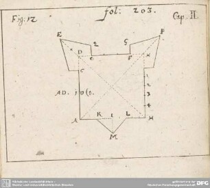 Fig: 12 fol: 203 Cap. II