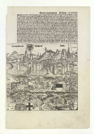 Ulm von Süden. Um 1493