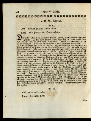 Das XL. Capitel.