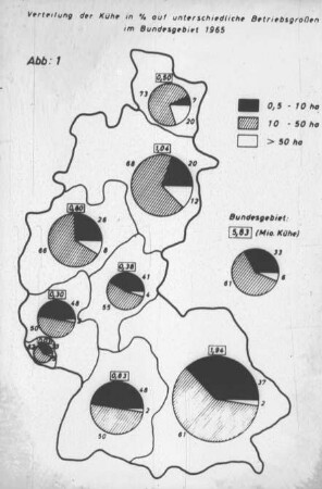 Verteilung der Kühe in % auf unterschiedliche Betriebsgrößen im Bundesgebiet 1965