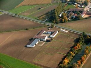 Trebur : Außerhalb südlich davon