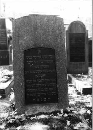 Grabstein 224 (Index: 100094429) Material: Granit Zustand: gut Maße HxBxT: 121x60x26 cm Beschreibung: konische Stele, Segmentbogenabschluß, Schriftplatte: Grabstein 224