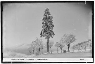 Oberwiesenthal. Am Eschenhof