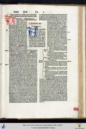 Liber Job.