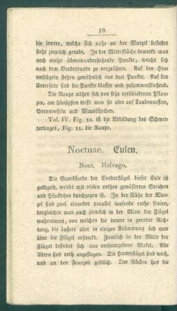 Noctuae. Eulen.