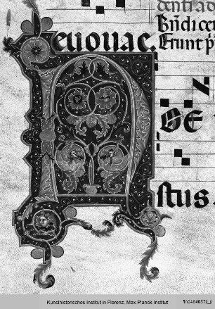 Antifonarium S aus San Domenico, Perugia : Initale N mit anthropomorpher Ornamentik