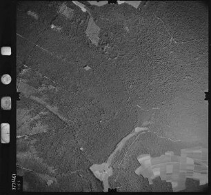 Luftbild: Film 29 Bildnr. 501