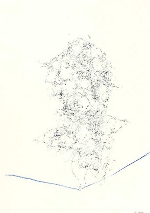 AUF DEM SEIL