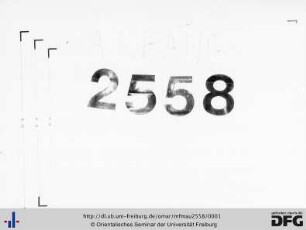 MF Mau 2558