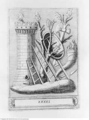 Memorie concernenti la città di Urbino dedicate alla Sagra Real Maestà di Giacomo III Re della Gran Bretagna, Verteidigungsturm und Kriegsgerät; (Blatt 41)