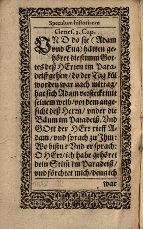 Speculum historicum illustr. Miraculorum S. Visionum & Apparitionum. das ist: Historischer Spiegel, darinnen zu finden viel wunderbarliche Gesichter vnd erscheinungen Gottes, der H. Engeln, der H. Jungfrawen Marie, der H. Aposteln, märtyrern, Beichtigern, [et]c. vnd andern Heiligen : mehrerteils auß H. schrifft vnd den besten Lehrern zusammen gezogen ...
