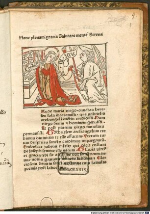 Defensorium inviolatae virginitatis Mariae : Redaktion C