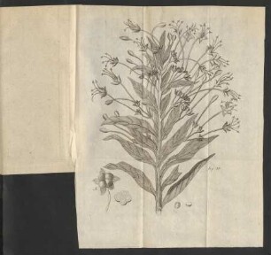 Fig. 35
