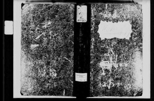 Unterschüpf, evangelische Gemeinde: Standesbuch 1808-1829