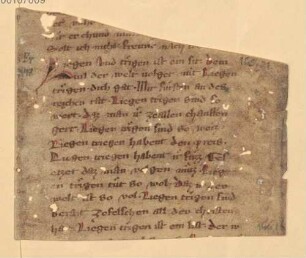 Der arme Heinrich - BSB Cgm 5249(29 a + 30 a