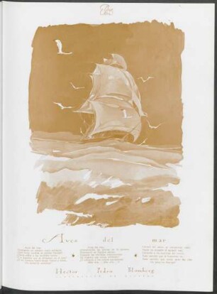 Aves del mar