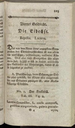 Viertes Geschlecht. Die Eidechse.