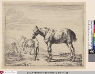 [Ein angebundenes Pferd; Horse Bound to a Post; Un cheval vu de profil]