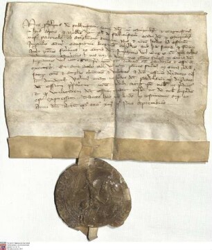 Philipp d. Ä. v. Falkenstein-Münzenberg bekundet, dass sein Neffe Ph(ilipp) v. Falkenstein-Münzenberg ihn und seine Erben zu rechtmäßigen Miterben...