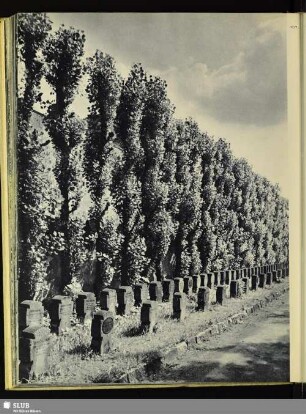 107 Taucherfriedhof