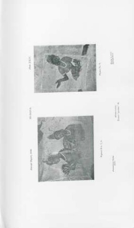 Plate XXIV. Sígiriya. Sígiri-Gala. Fresco "pocket" B.