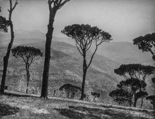 Landschaftsblick (Orientaufnahmen 1892/1903)