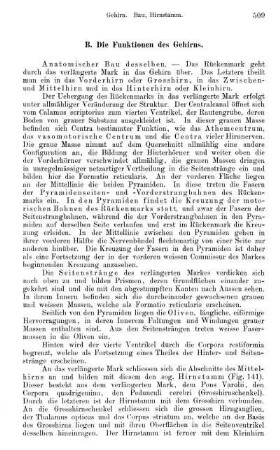 B. Die Funktionen des Gehirns.